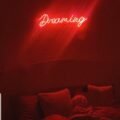 dreaming neon sign