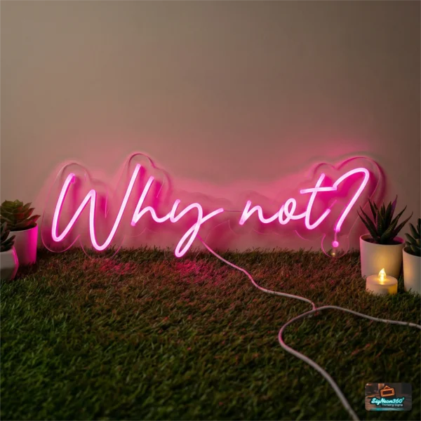 Why Not? Neon Sign